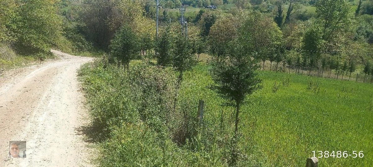1713174476712-42488659