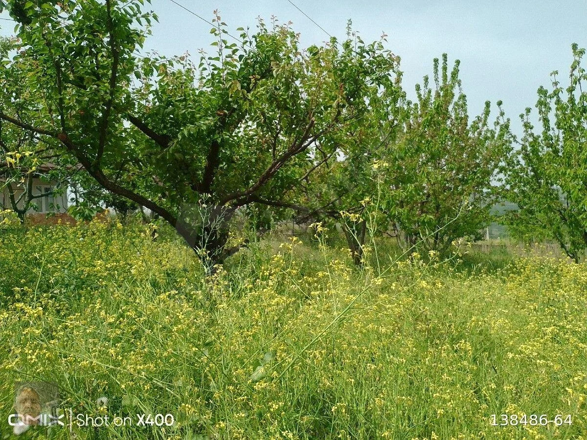 Bahçe