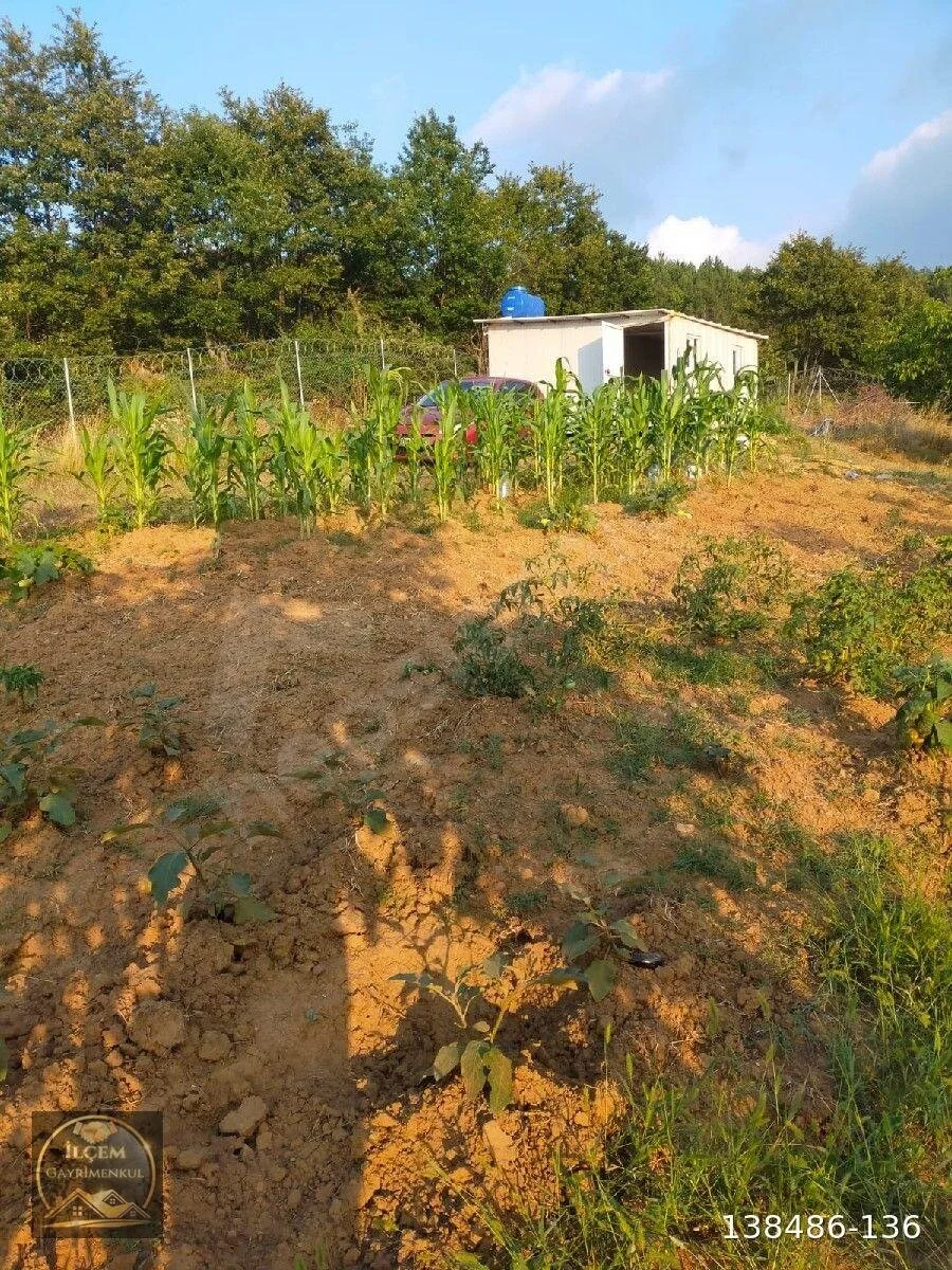 1745486597537-44522203