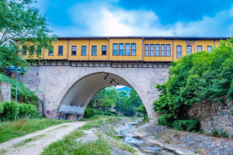 Bursa